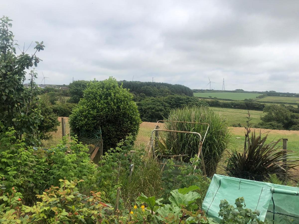 Little Valley View Otterham エクステリア 写真
